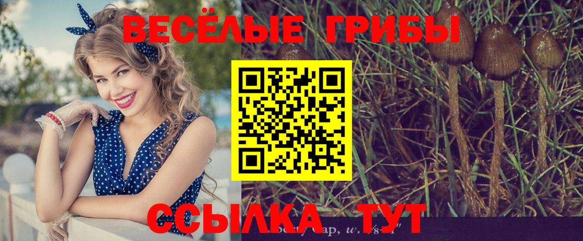 Галлюциногенные грибы GOLDEN TEACHER Кимры