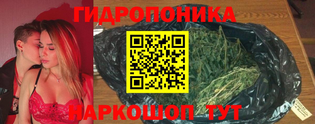 Бошки Шишки Amnesia  Каннабис гибрид  Вход с VPN  Кимры  МАРИХУАНА гибрид 